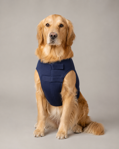 Chaleco antiestrés para perros
