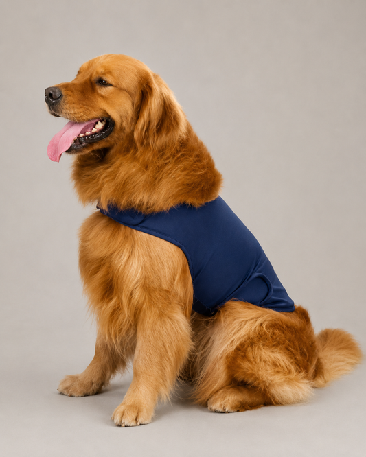 Chaleco antiestrés para perros