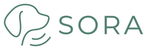 Logotipo de SORA en verde sobre fondo transparente